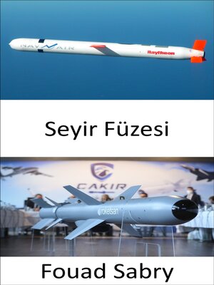 cover image of Seyir Füzesi